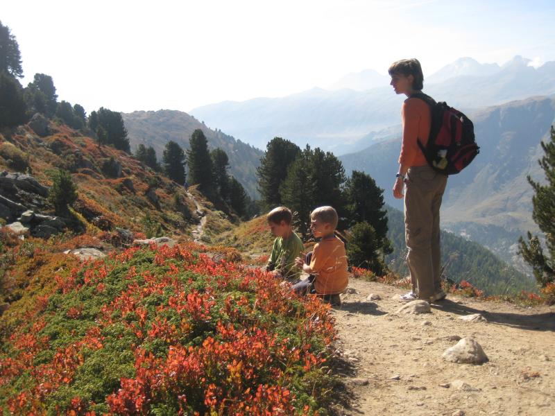 20080929_Riederalp-Aletschgletscher-024.jpg