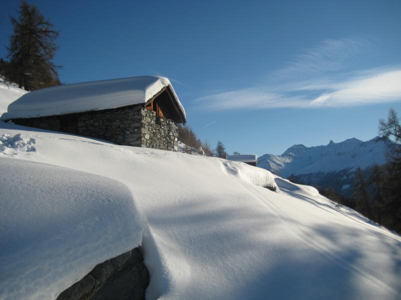 20081222_Nax_002.jpg