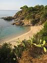 20091004_Cavoli_004