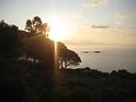 20091006_Elba_Nordosten_002