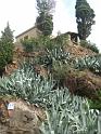 20091006_Elba_Nordosten_011