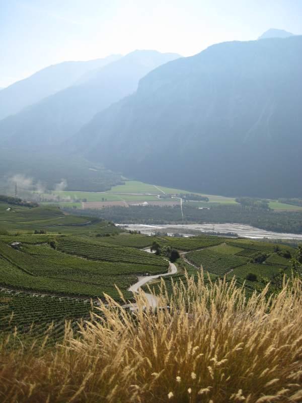 20090924_Goppenstein_Varen_Grone-007.jpg