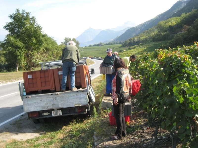 20090924_Vendange_Grone-009.jpg