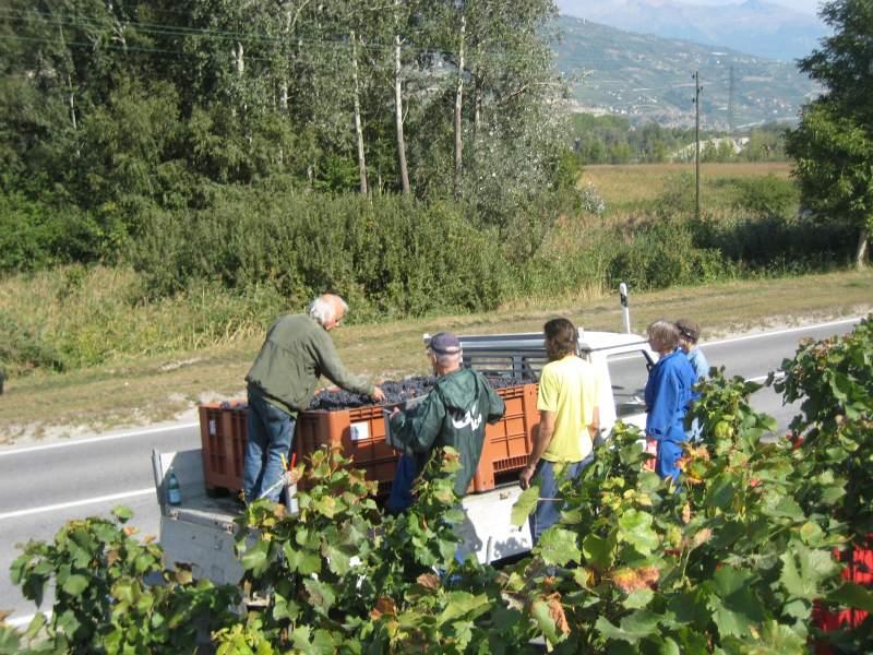 20090924_Vendange_Grone-010.jpg