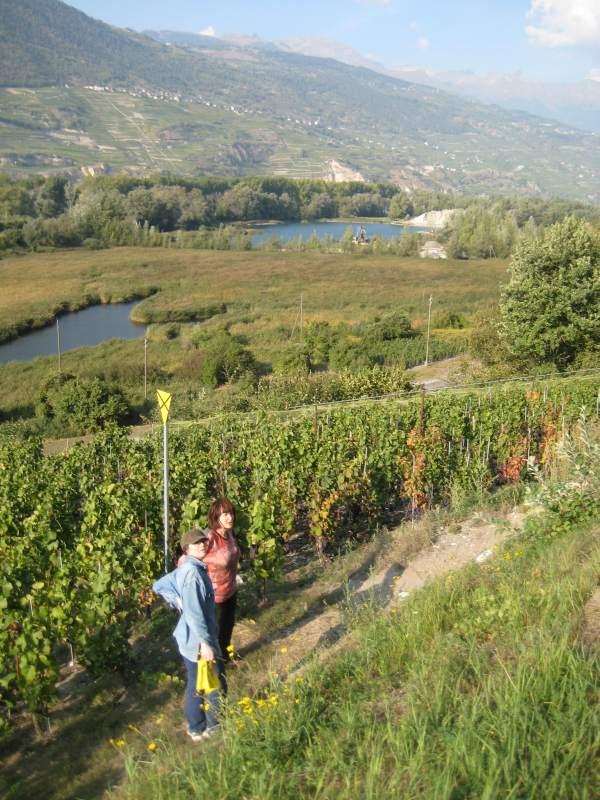 20090924_Vendange_Grone-012.jpg