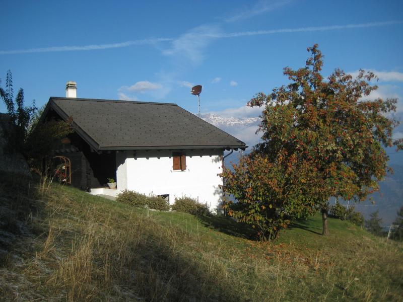 20091016_Nax_003.jpg