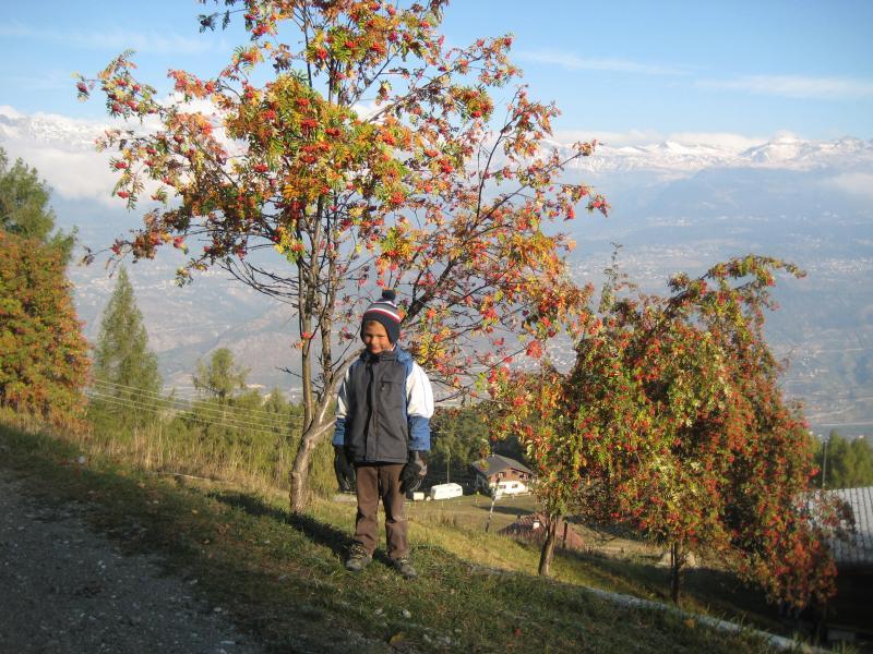 20091016_Nax_005.jpg