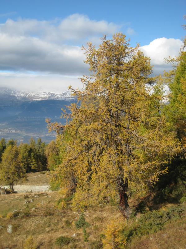 20091016_Nax_040.jpg
