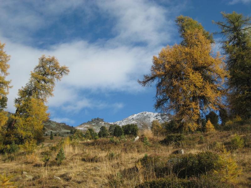 20091016_Nax_044.jpg