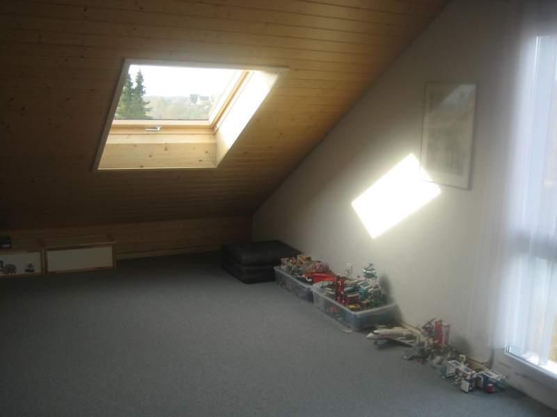 20091125_Dachfenster-001.jpg