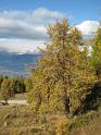 20091016_Nax_040