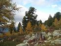 20091016_Nax_049