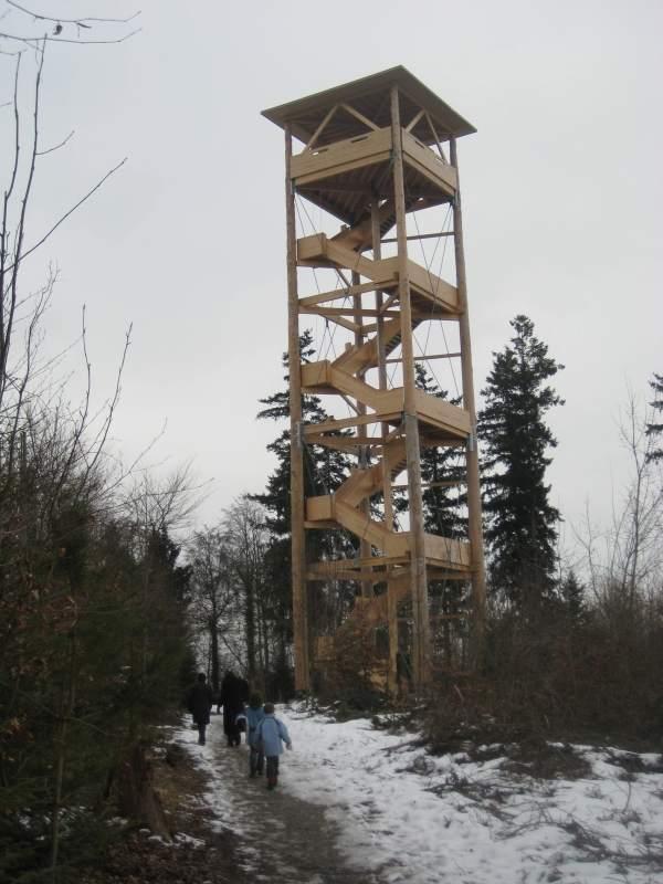 20100207_Fasnacht_Turm_Lyss-005.jpg