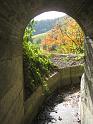 20101009_Bisse_Claveau-023