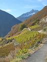 20101029_Weinweg_Martigny-Saillon_016