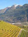 20101029_Weinweg_Martigny-Saillon_022