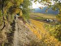 20101030_Weinweg_Saillon-Grone_023