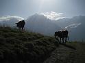 20110821_Mueren_Lauterbrunnen-008