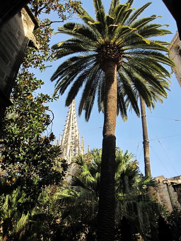 20121123_102400_Barcelona_004.JPG