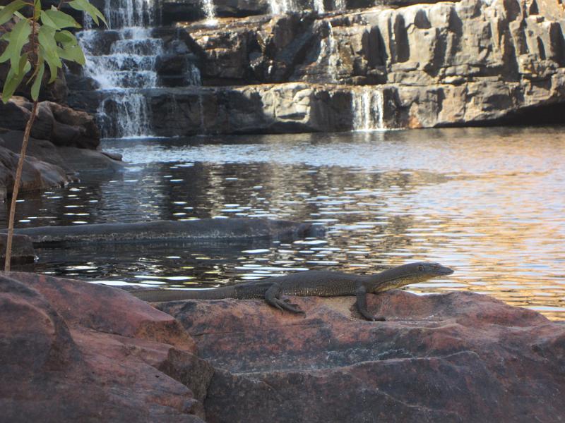 20130925_084914_Bells-Gorge_Windjana-Gorge.JPG