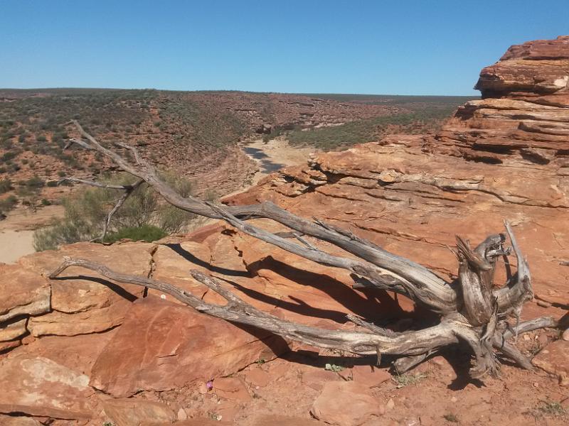 20131007_145644.jpg - Kalbarri Nationalpark