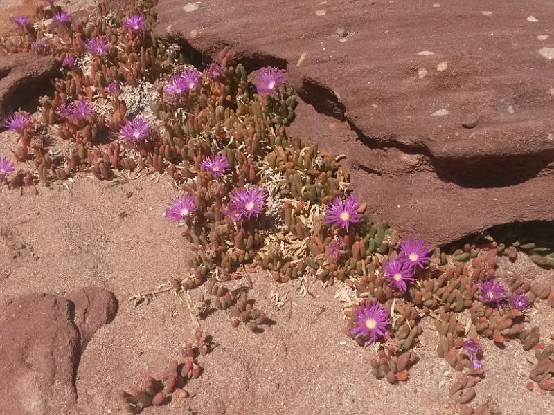 20131008_103909.jpg - Kalbarri Nationalpark