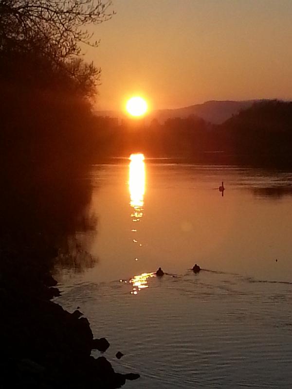 20130216_174239.jpg - Abendstimmung an der Aare in Aegerten