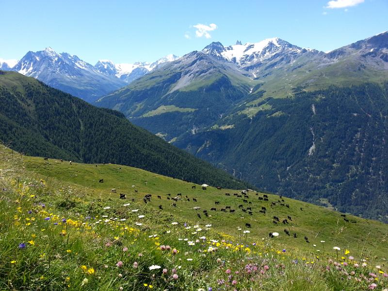 20130731_123902.jpg - 31.7. Blick vom Val d'Hérens bei Bike-Run-Bike Tour (Bike bis Alpage Lovengo)