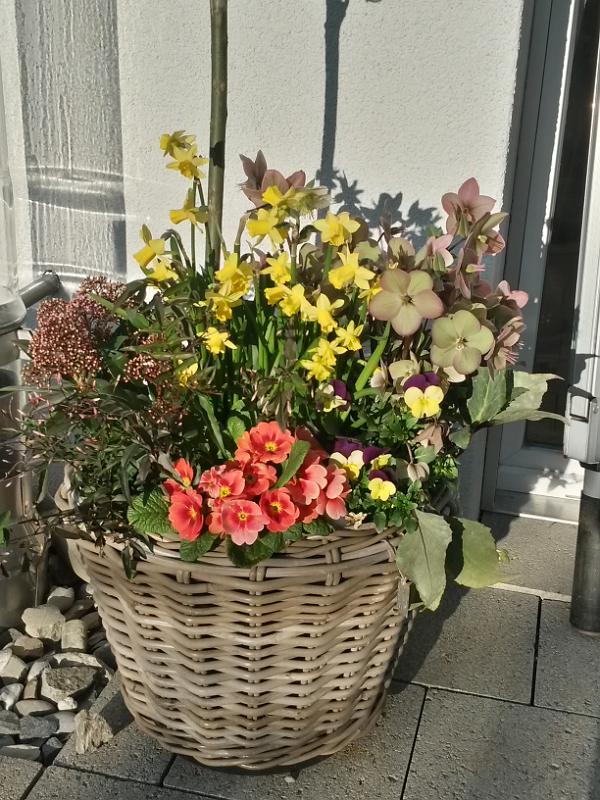 20140316_17.20.14.jpg