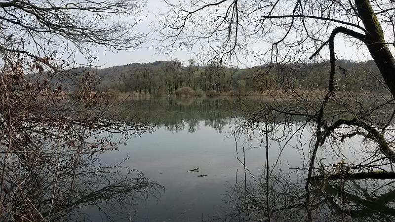 20140330_12.41.03.jpg - 30.3. Wanderung an Aare zwischem Niederried und Mühleberg