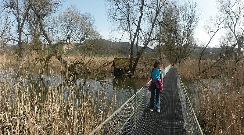 20140330_13.13.38.jpg - 30.3. Wanderung an Aare zwischem Niederried und Mühleberg