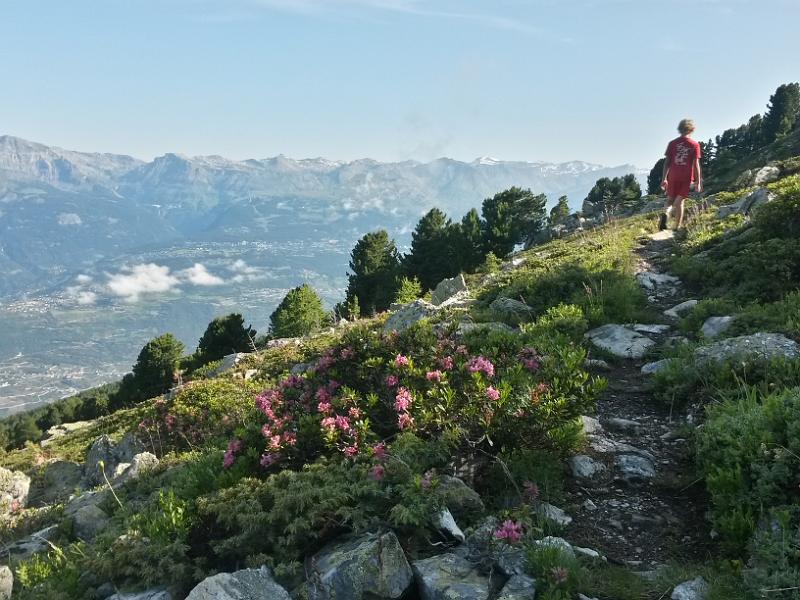 20140725_090903.jpg - 25.7. Wanderung Alpage Gauthier - L'Ar du Tsan - Vercorin- Vallon Réchy -Alpage Gauthier