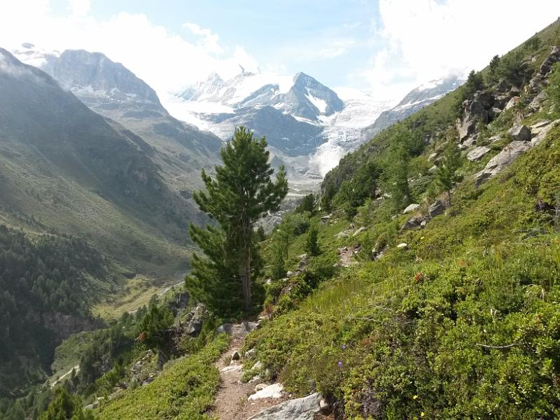 20140728_110040.jpg - 28.7. Wanderung im Turtmanntal