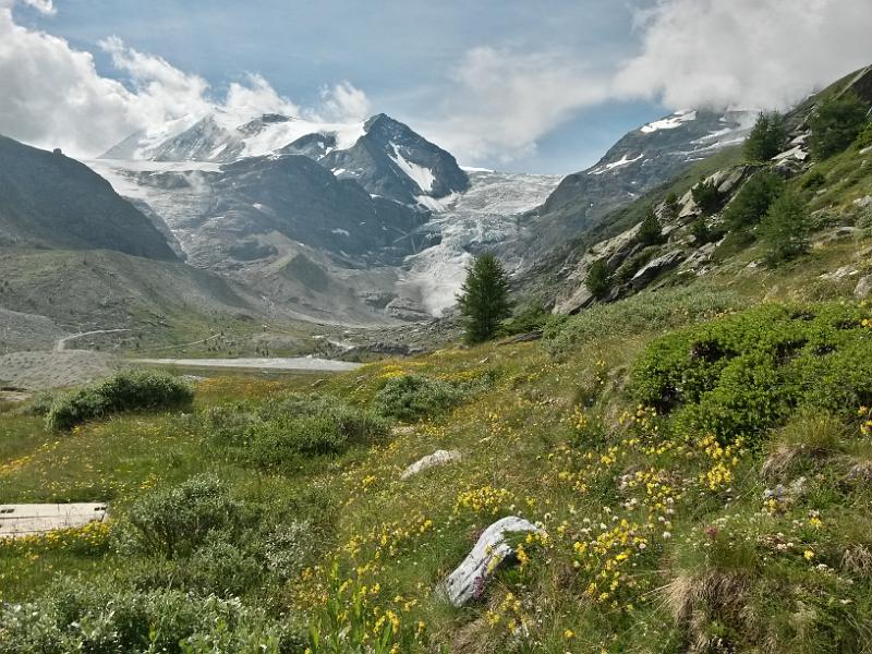 20140728_112536.jpg - 28.7. beim Turtmannsee