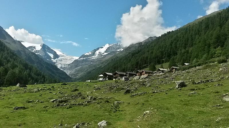 20140801_105207.jpg - 1.8. Blüomatt im Turtmanntal
