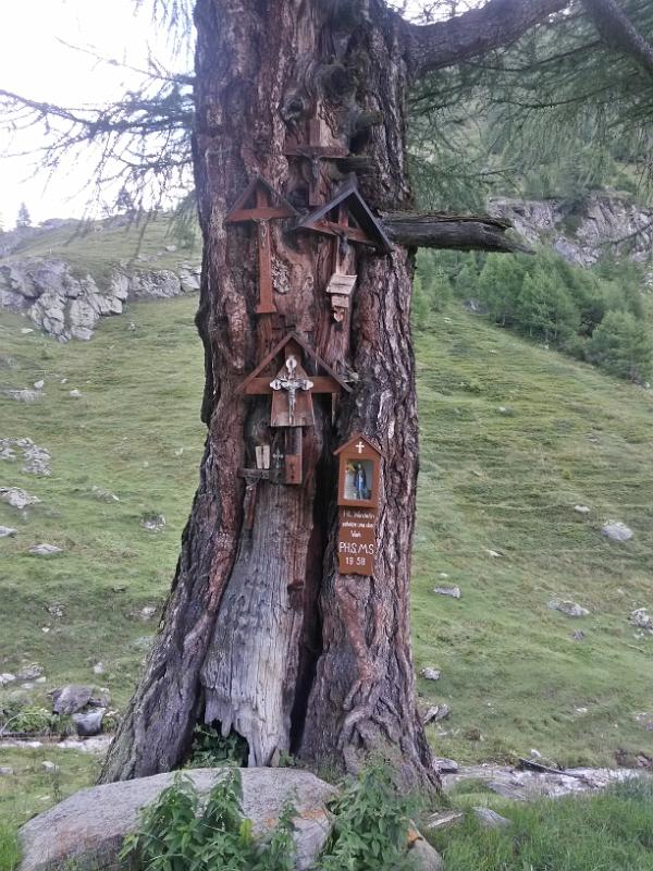 20140816_111932.jpg - 16.8. Unterhalb Fluhalp auf Wanderung Jeizinnen-Fluhalp-Rinderhütte mit Joel