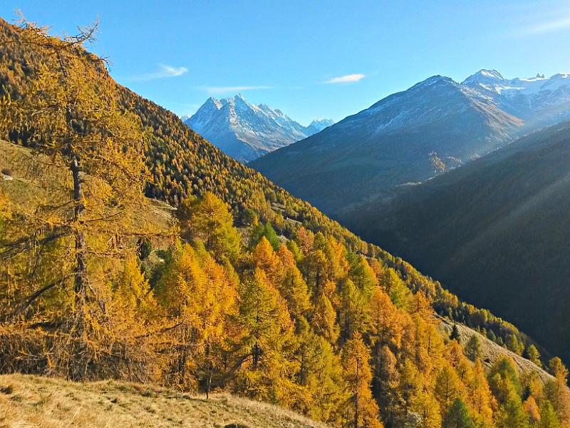 20141101_151445.jpg - 1.11. Wanderung oberhalb Eison im herbstlichen Val d'Hérens
