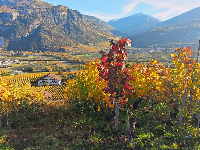 20141102_153319.jpg - 2.11. An Bisse de Claveau - Aussicht nach Bramois, Nax und Val d'Hérens