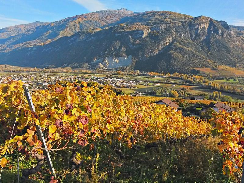 20141102_153341.jpg - 2.11. An Bisse de Claveau - Aussicht nach St Leonard und Nax