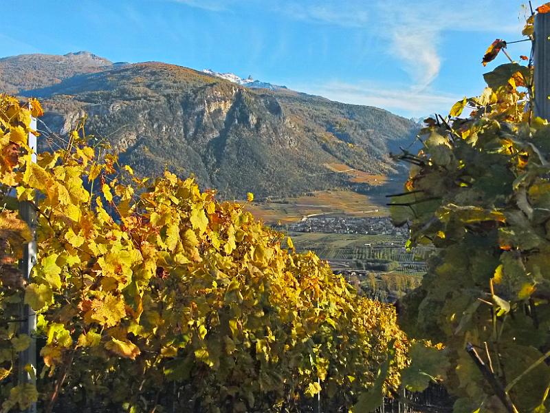 20141102_155156.jpg - 2.11. An Bisse de Claveau - Aussicht nach Bramois, Nax und La Maya