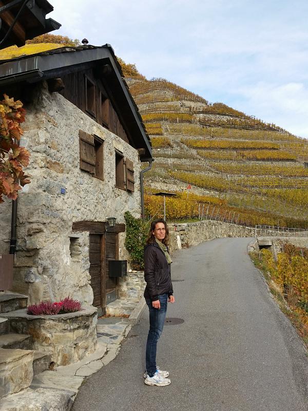20141114_134008.jpg - 14.11. oberhalb Fully