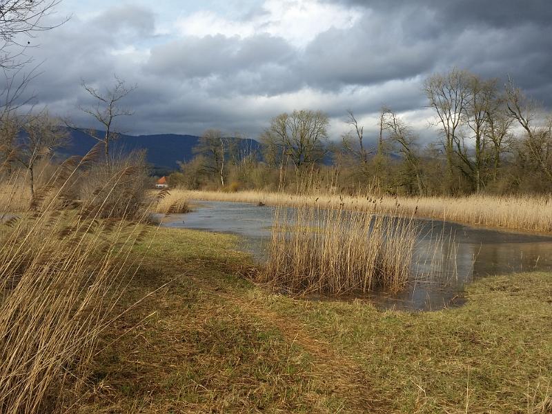 20150331_171344.jpg - 31.3. bei Meiewnried