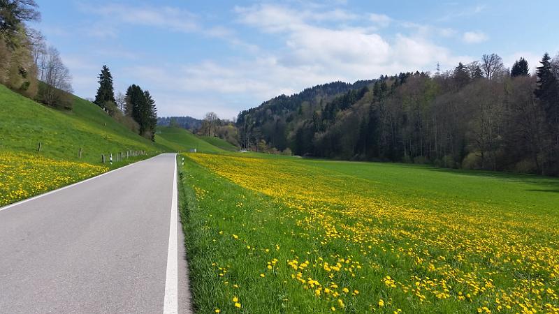 20150418_155445.jpg - 18.4. RAdfahrt vom Seeland durchs Emmental nach Zug