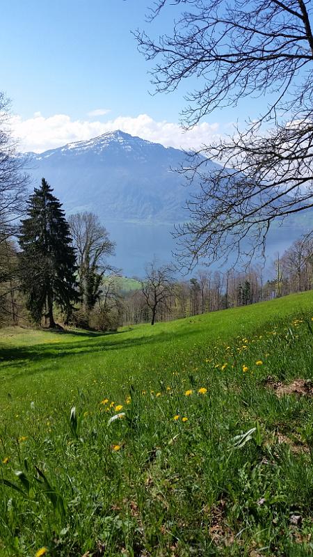 20150419_111631.jpg - 19.4. langer Lauf Oberwil - Zug- Allenwinden - Aegeri- Zugerberg - Oberwil