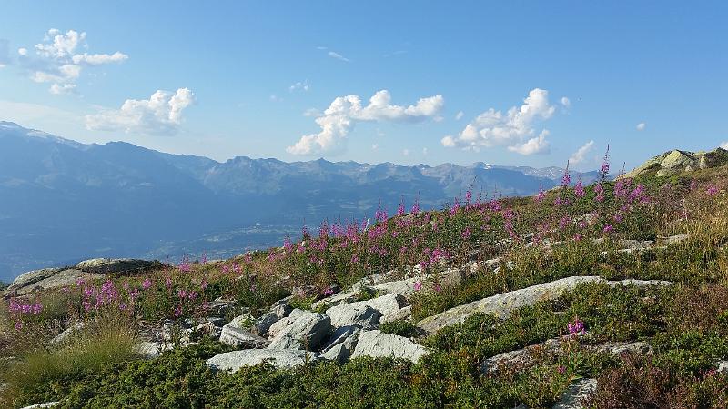 20150807_184817.jpg - JKJK'«\í�~ó������N����·k������¬������Ç��'����ª`�%����²`�e�ýÿÿîÿÿJÂÿÿL9�j��=��Bÿÿ%·������������������"����������������"���������������"�"���������������"�"������������"��"������"�"�"�"�"�"���"�"���������������"�"�"�"�"�"�"�"�0�Bw�����������"�"����p���`���`���������������`���`���`���Q3�R���R��������������`���Q3�Q3�Q3�R���Bw�Bw�R��������p���`���R���Bw�Bw�`���Q3�Bw�Bw�Bw�Bw�Bw�P3�`���p���Q3�Q3�Bw�Bw�A"�1"�R���Bw�A"�A"�Bw�Bw�R���p���Q3�R���A"�@"�1"�1"�1"�A"�Bw�Bw�Bw�Bw�Bw�Bw�R���Bw�Bw�Bw�A"�A"�@"�0�0�1"�1"�2w�2w�Q3�Bw�Bw�2w�Bw�2w�2w�2w�1"�1"�1"�2w�2w�2w�Bw�R���Bw�Bw�R���Bw�Bw�2w�2w�2w�2w�2w�2w�2w�2w�2w�2w�2w�A"�`���b���R���V�ÿÿ��vP�Ð���ÍZ�ßu�ÿÿ��¬��������������������������������������ÿÿ��·j�4X����Îu�|�úÿ��]�������������O���Ç`�M���Ì`�M���Ì`�M���Ì`�M���Ì`�������������R¨�@9����4���ìC��Ìù�������FAFA��´�0�m�,��FAFAe�������S$È-ØP�M`�y3%~fyV�s°�y$¦jm\�qÕ�z5'â-ªb�ç�c%!h�@â�s$Õn�Ùó�3$YCt�Ó�4$öçç������������m�AÅ�4$öççm�AÅ�4$öççm�AÅ�4$öçç������������m�AÅ�4$öççm�AÅ�4$öççm�AÅ�4$öççm�AÅ�4$öççm�AÅ�4$öççm�AÅ�4$öççm�AÅ�4$öççFAFA��òZh���×����f��Ót���T�����Flm���(�������¬������������������3����������������ZP����������i����������������������c�m�ÿFAFA��������������������������������������®®®®F��¬�����ò��ò������»�����d��&������������������������������������������������������������������������=��`5��������������������ò�������������������������������������������������������������@������n��������������x��úÿÿÿ������������(���.��������������b��¬�������������������������������������m���s�������������|������������/���l�����Ü����l������������t������P02011165F16QLGB00VB51FFEFDDFA4