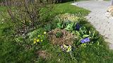 20150406_174755