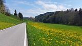 20150418_155445