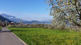 20150419_085007