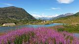 20150730_142951