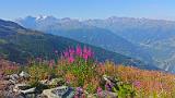 20150808_092345